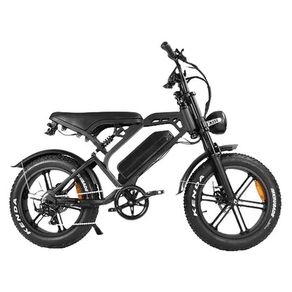 V20Pro 9.0 500 WATT + Achterzitje + Voetsteuntjes + Alarm